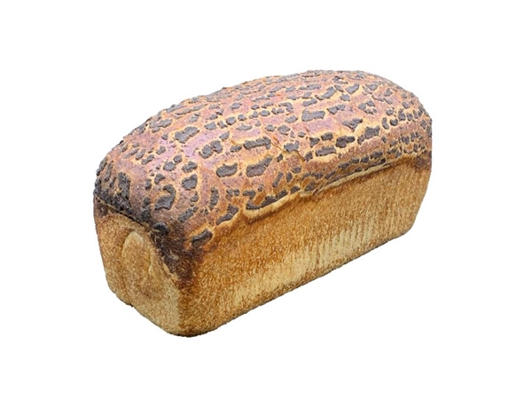 bruin brood tijger