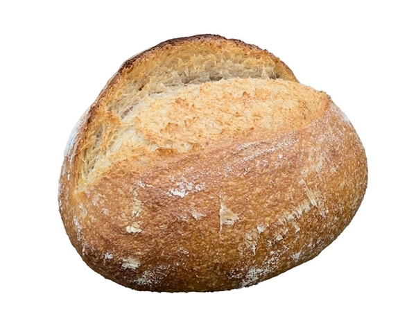 Oberlander